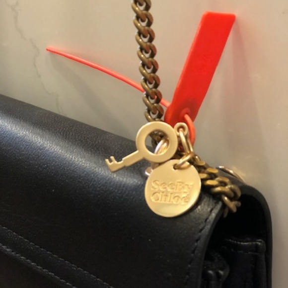 Limited Edition IMPECCABLE SeeBy Chloe Lois Black Leather Studded Chain Bag - Picture 10 of 16